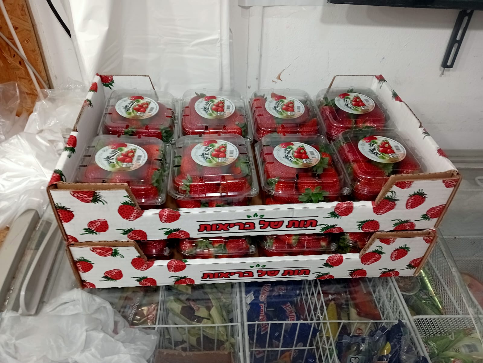 תמונה מהחנות 3