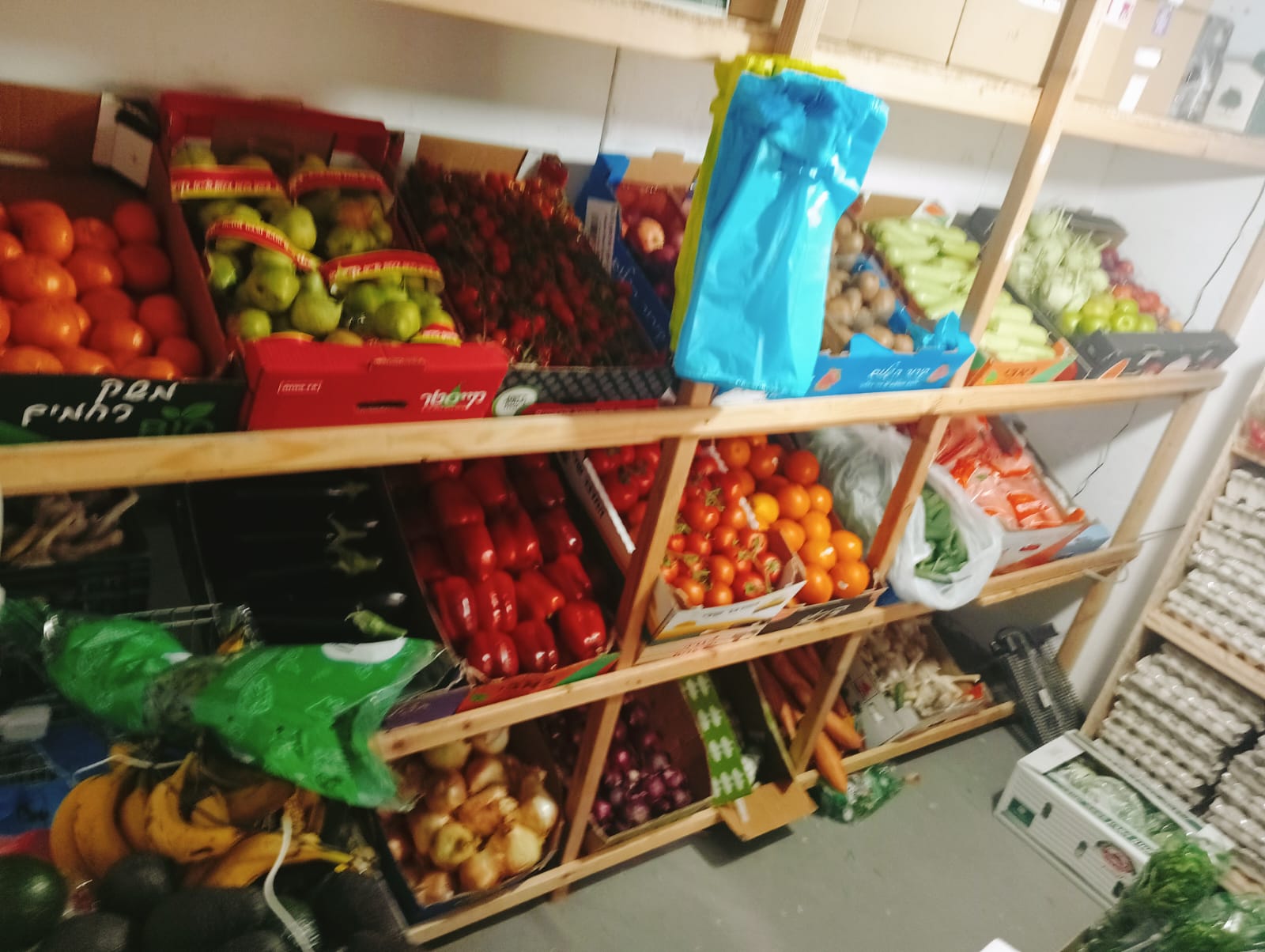 תמונה מהחנות 6